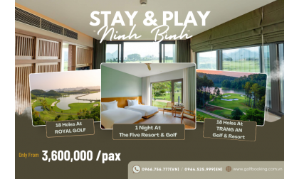  Swing in the Green – A Peaceful Scene