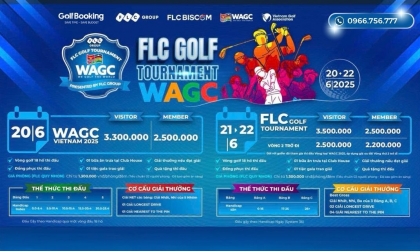  BMW 승용차 8대, FLC Lux City 토지 4필지, 제주 대회 참가 기회 – 더욱 가까워집니다!